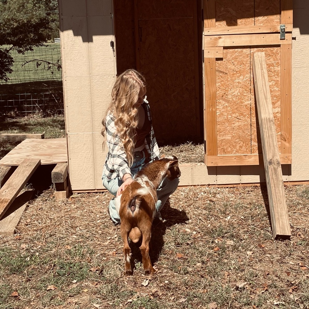 Meet your Posher, Kailey